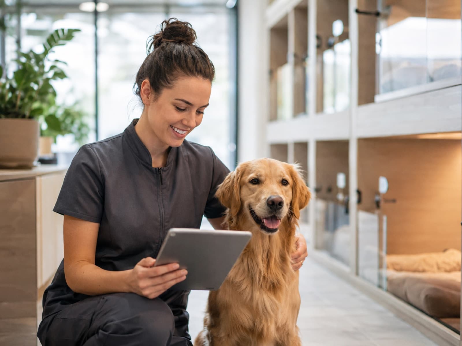 Professionnelle de pension animale utilisant une tablette avec un chien